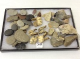 Group of Various Rocks & Fossils