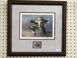Professionally Framed Signed & Numbered Duck
