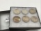 Collection of 6 Silver Peace Dollars Including
