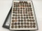 Collection of Approx. 92 Indian Head Pennies