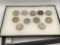 Collection of 11 Silver Peace Dollars