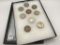 Collection of 9-1921 Morgan Silver Dollars