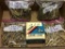Group of Loose 223 Cal Cartridges