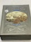Group of Civil War Books by Time Life