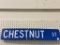 Dbl Sided Chestnut Street Sign