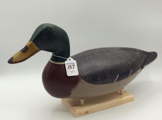 Mike Vallero Mallard Drake