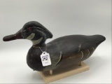 Wood Duck by TJ Hooker