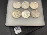 Collection of 6 Silver Peace Dollars Including