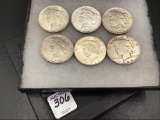 Collection of 6 Silver Peace Dollars Including