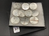 Collection of 10-Engelhard One Troy Ounce