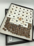 Collection of Approx. 113 Indian Head Pennies