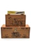 Lot of 3 Including 2 Lift Top Field Boxes