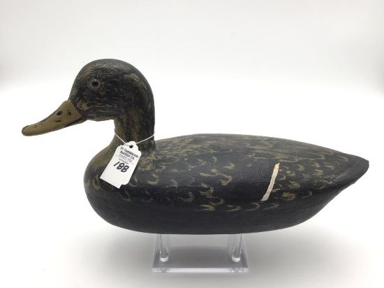 Unknown Black Duck Decoy
