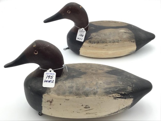 Lot of 2 Canvasback Decoys