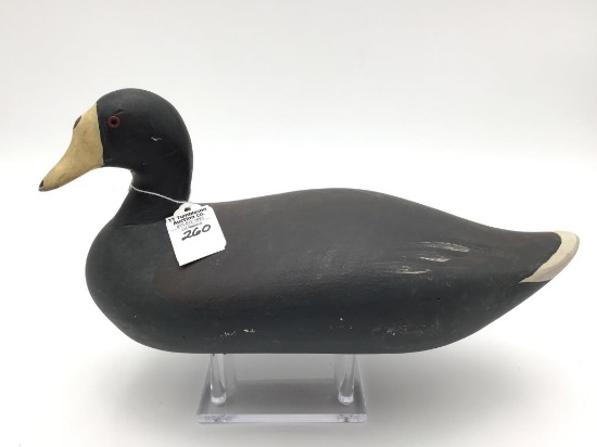 Coot Decoy by Madison Mitchell-1971