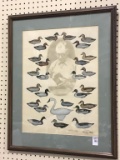 Framed, Signed & Numbere Print of Madison