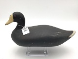 Coot Decoy by Madison Mitchell-1971