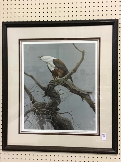 Framed. Signed & Numbered African Fish Eagle