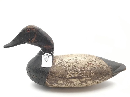 Early 1900's Canvasback by Thad Johnson