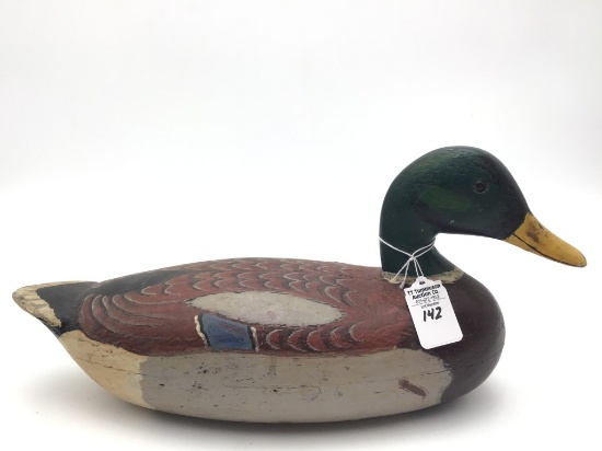 Unknown Illinois River Mallard Drake