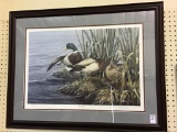 Framed Quiet Rain Print by Paco Young-1994
