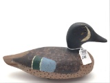 Blue Wing Teal