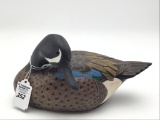 Decorative Preening Blue Wing Teal Drake