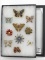 Ladies Jewelry Collection of 10 Pins-