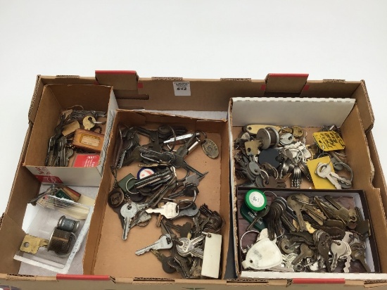 Very Lg. Collection of Various Keys & Key License