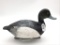 Torry Ward Bluebill