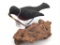 Carved Robin w/ Worm by Bud Hinck