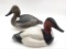 Pair of Torry Ward Canvasbacks