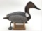 Torry Ward Canvasback Hen