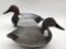 Nice Pair of Canvasbacks by Phil Babe