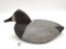 Michigan Canvasback Hen