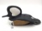 Merganser by Dwight Joy