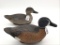 Pair of Blue Wing Teals