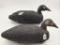 Pair of Cork White Wing Scoters