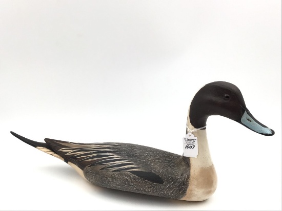 Torry Ward Pintail