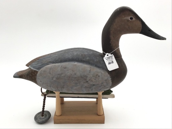 Torry Ward Canvasback Hen