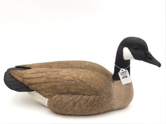 Dan Ellberg Canada Goose