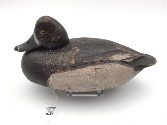 Ben Schmidt Bluebill