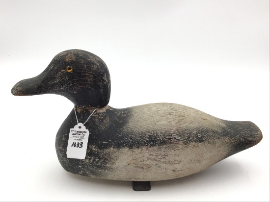 Pratt Bluebill