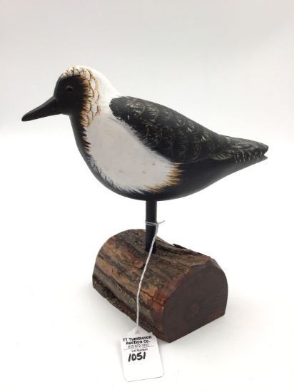 Shorebird by Gene Everett-2014