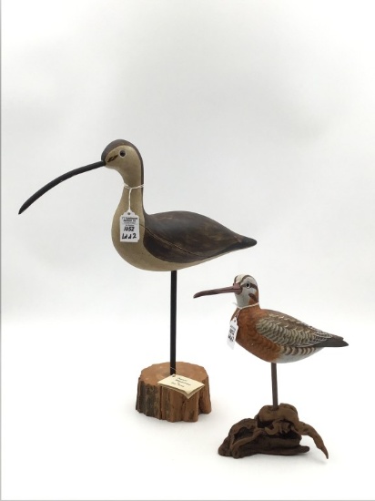Pai rof Shorebirds-Larger One by