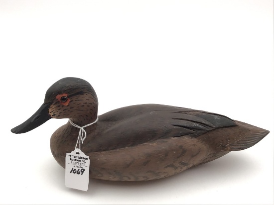 Teal Hen by Marv Meyer