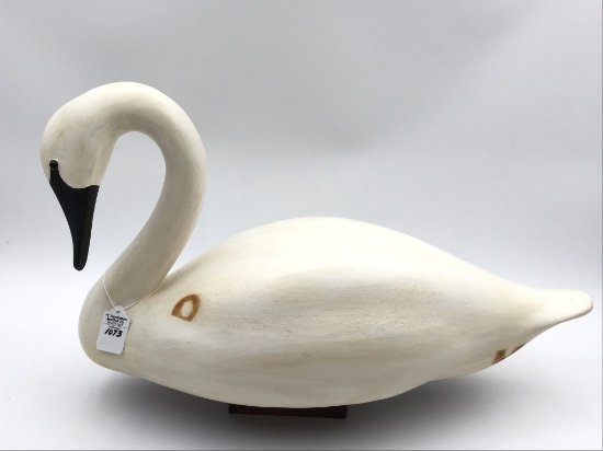 Unknown Lg. Swan