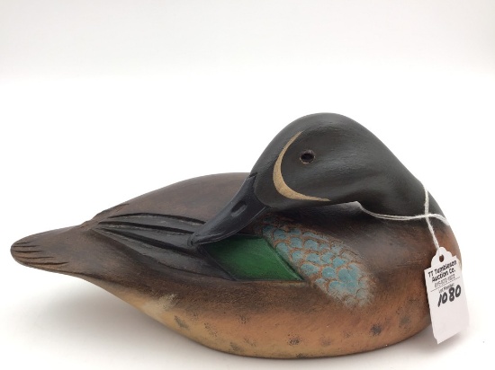 Blue Wing Teal by Dark Feather