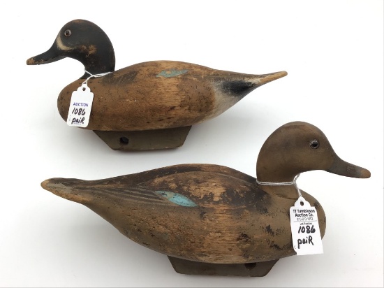 Pair of Wildfowler Teals