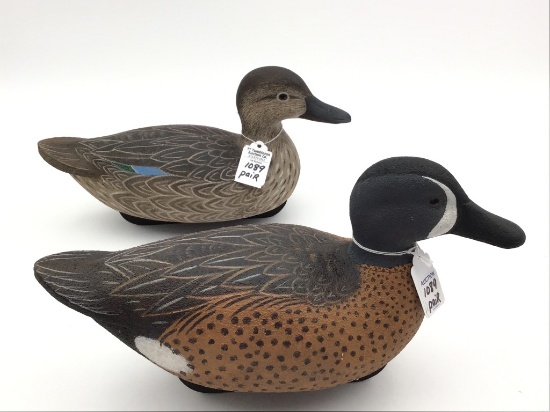 Pair of Blue Wing Teals